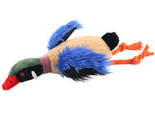 blue duck dog toy